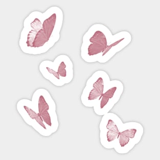 butterflies pink white Sticker